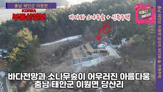 (매물번호 255번) (충남 태안군 이원면 전원주택매매)  멋진 바다전망과 소나무숲이 어우러진  신축주택매매,   저렴한 가격,   최상의 바다조망입지,  최고의 별장주택