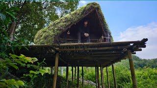 Camping in the forest makes a home - a safe shelter, farming, hunting fish, in the pouring rain