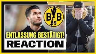 Toxy reagiert | Nuri Sahin ENTLASSEN!  Der BVB zerfleischt sich selbst!