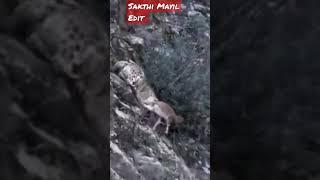 Sakthi Mayil Edit