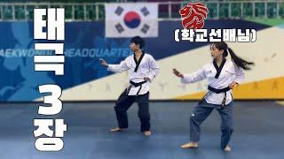 품새 국가대표 강완진 태극3장(feat. 강유진 사범님) | KANG Wan-jin, Taekwondo Poomsae National athelete, Taegeuk 3 Jang