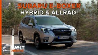 Subaru Forester e-BOXER Review: Hybrid-Technologie im Praxistest | WELT DRIVE Magazin