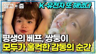 1분 차이로 언니 동생이 된 4살 쌍둥이 자매의 감동 이야기. 프랑스 시골의 그림 같은 장면｜안녕! 4남매｜알고e즘