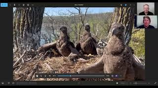 Jackie and Shadow nest cam update and crazy weather in Wisconsin impacts nests. Episode 12
