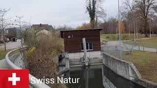 Swiss Natur:TG 15.11.2021