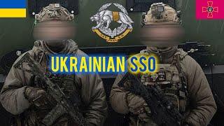 SSO Ukraine – Echoes of War | Rammstein – Sonne (Slowed)