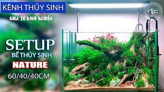 SETUP Bể thủy sinh phong cách Nature | Tank 60/40/40cm #kenhthuysinh p40