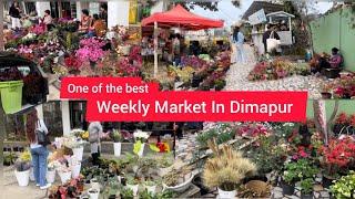 Shopping At Dimapur Market 🪴|| Naga’s Flower Market Dimapur || Super Market Dimapur Nagaland