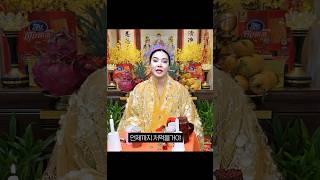 언제까지 처먹을꺼야 돼지같은X #신점#사주#타로