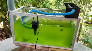 How to Setup Top Filter in Aquarium | Install Top Filter