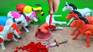 WADIDAW‼️PROSES POTONG SAPILUCU SIMOLASI QURBANI IDULIDHA COW CARTOON VIDEO @toystory7209