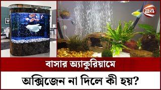 অ্যাকুরিয়ামে অক্সিজেন দিতে হয় কেন? | Aquarium | Channel 24