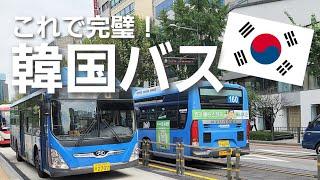 【韓国】バスのアプリ使用法から降車までの全流れ＆明洞などバス停3ヵ所の動画