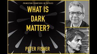Peter Fisher, in conversation with Melissa Franklin, "What Is Dark Matter?"