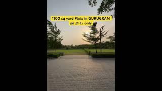 1100 sq yard plot in Gurgaon @ 21cr only. #gurugram #dlf #plot  8851009721