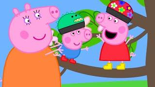 Peppa and George Climb a Tree!  | Peppa Pig Official Full Episodes