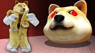 FUI PERSEGUIDO PELA CABEÇA DE DOGE GIGANTE! | Roblox | Doge Head Escape