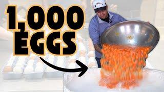 I Made Pasta with 1,000 Eggs!