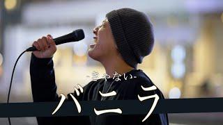 【歌詞付】イケメンすぎる路上ライブシンガーが歌も上手なんて反則じゃない!? バニラ / きゃない【新宿路上ライブ-23.1.27】by 高橋一輝