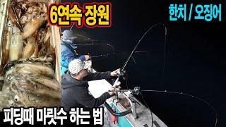 6연속 장원)한치 오징어 낚시 피딩때 마릿수하는 방법 운영법 채비 오모리그액션