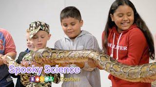 Science Spooktacular | Education Counts