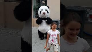 Вот так встреча. Панда в центре города #shorts #funny #panda #pretty