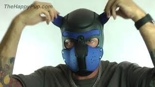 Neoprene Pup Hood Review Mandarin 氯丁橡胶狗面具审查