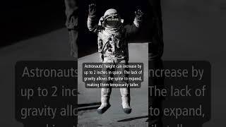 Today's Insight: Astronaut #shorts #facts #information #knowledge #astronaut #space #daily #insight