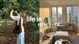 LIFE IN NEW YORK | a cozy and productive week in my life, fall activities in nyc