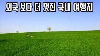 그림같은 풍경에 빠져들다^^ 고창군 추천 여행지 학원농장 청보리밭/선운사/무장읍성/4월~5월 여행지추천