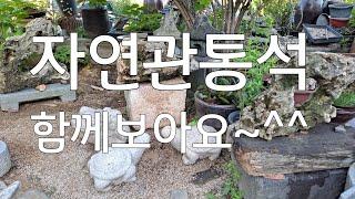 민속품/야생화/석물/너와기와/연못돌/방문짝/옹기/수생무늬창포/정원인테리어소품