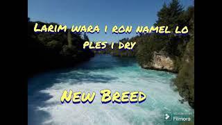 Larim wara i ron namel lo ples i dry - New Breed