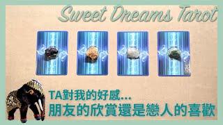 Sweet Dreams Tarot會錯意TA對我的好感是朋友的欣賞還是戀人的喜歡用塔羅牌窺探TA對你的感覺⭐️接下來對於這段關係的打算與行動朋友/同事/曖昧/前任⏰Timeless