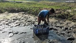 Best Unique Fishing.   Search & Catfish In Secret Big  Hole. Big Catfish Catching Mud water Season.