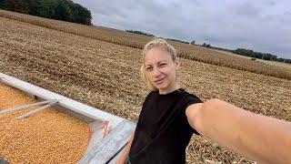 Working till we are rained out, Day 7 of Harvest