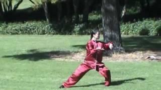 Liu Yu Tai Chi Chen style