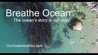 Breathe Ocean. The ocean's story is our story. Featuring Annie Crawley