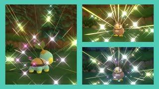 [LIVE] Tortipouss shiny après 4,497 resets sur Pokémon Diamant Étincelant (+2 Étourmi incapturables)