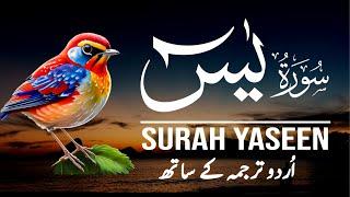 Surah Yaseen | Surah Yaseen With Urdu Translation | Episode - 108