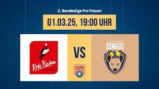 Rote Raben Vilsbiburg – TV Dingolfing (2. Volleyball Bundesliga Pro F 24/25)