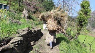 Uttarakhand village life part - 1