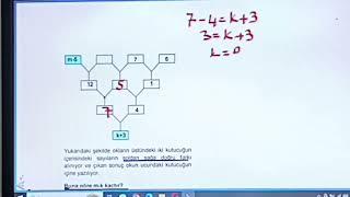 7. SINIF SAYISAL MANTIK SORULARI