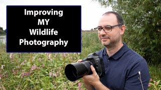 How I Improved MY Wildlife Photography in 2022 - Making Some Changes