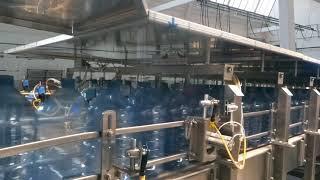 Plastic Bottle Conveyor in Action - with Accumulation Reroute - from Royal Conveyor Solutions