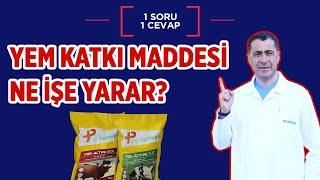 Yem katkı maddesi ne işe yarar?