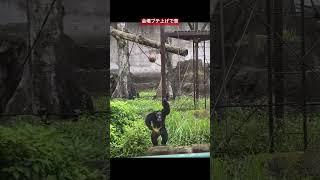 コイツが人間だったら友達になってた