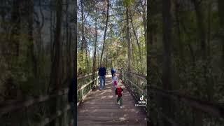 A day in Turkey Creek Park Florida