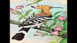Дил азык.  2-класс.  1-САБАК.  Абдылдаева Гүлзат.  #jetigen_osh