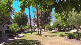 Palm Villas Condo For Sale in Palm Springs California #910 - Sold