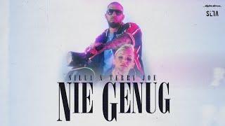 SILLA ► NIE GENUG FEAT. TERRY JOE ◄ [ OFFICIAL 4K MUSICVIDEO ]